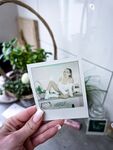 NasNas: Naaktfoto's
